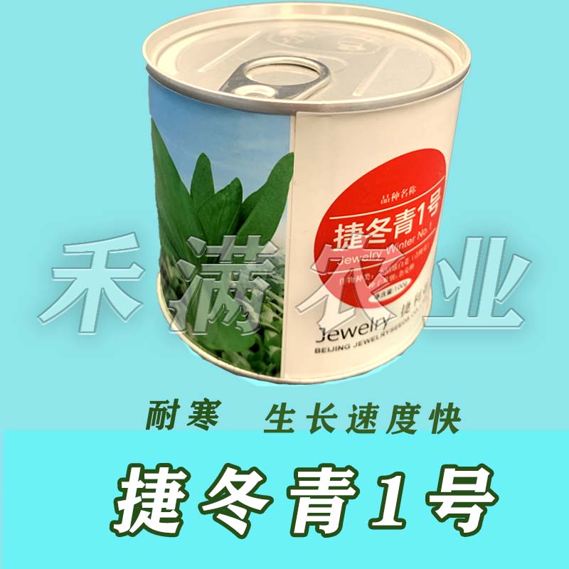 鸡毛菜种子种籽四季小白菜青菜油菜上海青蔬菜菜籽菜种孑大全籽种