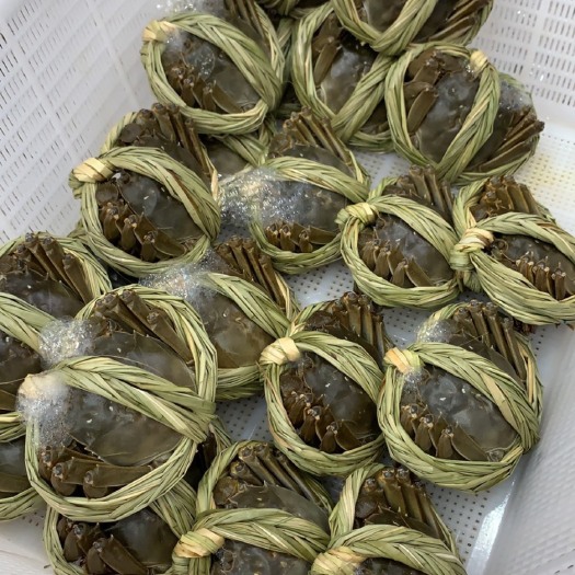 南京固城湖螃蟹只只精品，规格齐全欢迎咨询