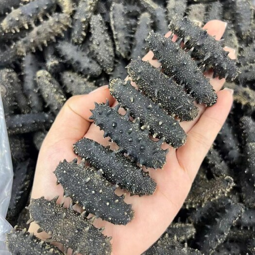 大连高刺辽参泡发好口感好
