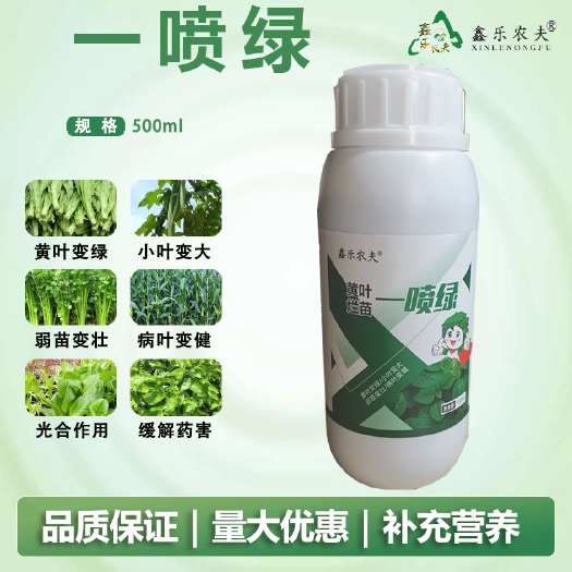 潍坊黄叶烂苗一喷绿黄叶小叶弱苗叶面肥叶片浓绿小叶变大叶