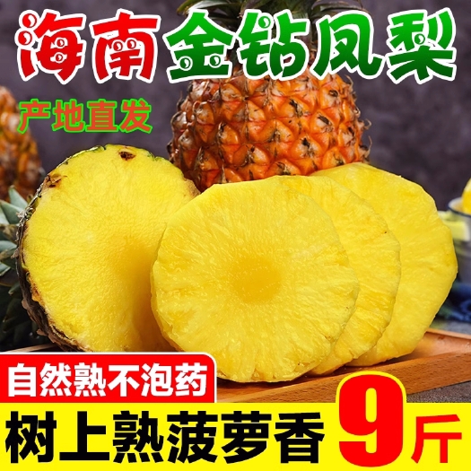 【一件代发】海南金钻凤梨9斤新鲜应当季水果大菠萝手撕菠萝包邮