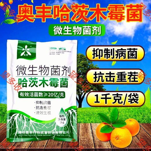 潍坊哈茨木霉菌1千克生根护根多菌群改土微生物菌剂