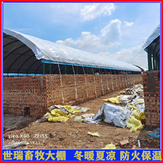 宁津县养猪大棚材料建设猪舍大棚安装育肥猪养殖棚搭建