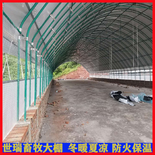 宁津县养殖鸭舍大棚安装肉鸭养殖大棚建设散养鸭棚搭建