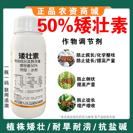 矮壮素控旺剂增产专用小麦玉米棉花园林通用防止疯长抗倒伏农药