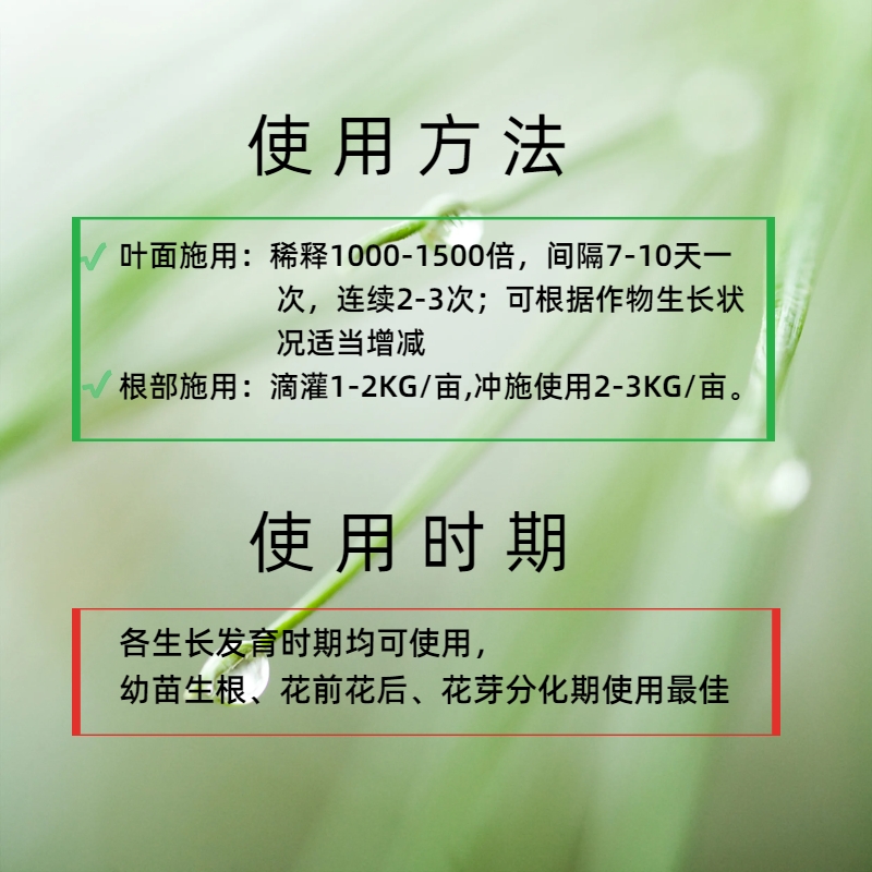 美因滋硼钼合剂花生豆类专用增产硼肥钼肥花多果多硼中钼叶面肥