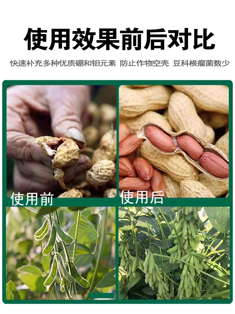 美因滋硼钼合剂花生豆类专用增产硼肥钼肥花多果多硼中钼叶面肥