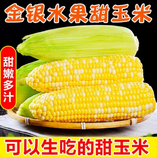 昆明云南水果玉米金银水果玉米5斤/9斤一件代发