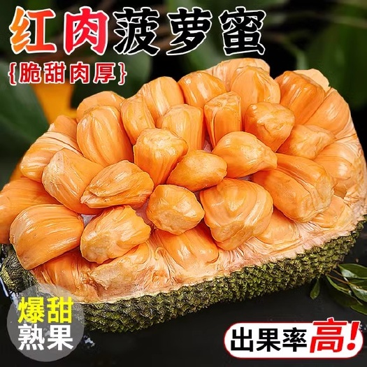 南宁红肉菠萝蜜一整个应当季树上熟新鲜水果整箱红心波罗蜜