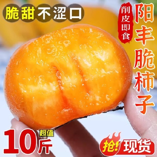 永济市陕西阳丰脆柿子孕妇甜水果当应季巧克力脆柿自然熟新鲜生吃糖心柿