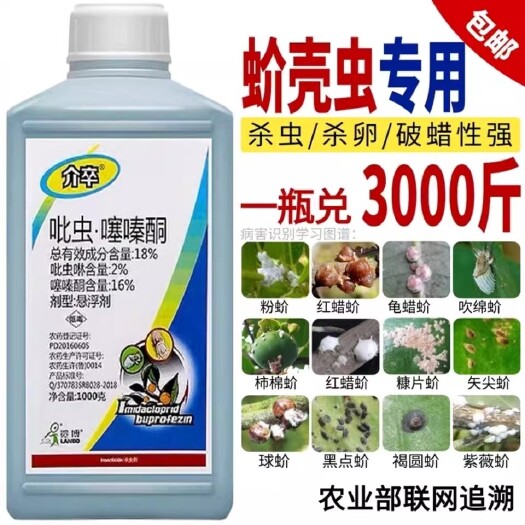 长沙蚧壳虫专18%吡虫啉噻嗪酮杀卵果树多肉花卉月季介壳虫