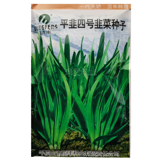 武汉种一次收4年亩产万斤杂交一代韭菜种籽四季韭菜种子高产搞病种孑