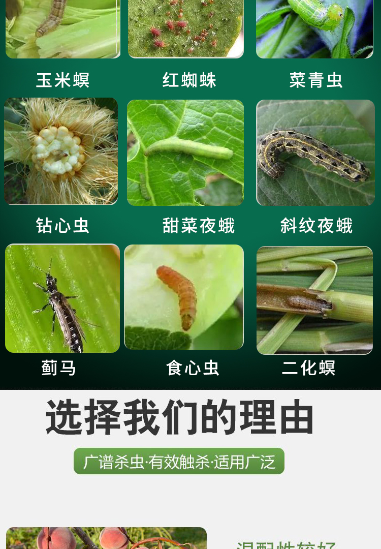 虱螨脲甘蓝专用杀虫剂蔬菜甜菜夜蛾潜叶蛾铁壁虱杀虫卵农药大全