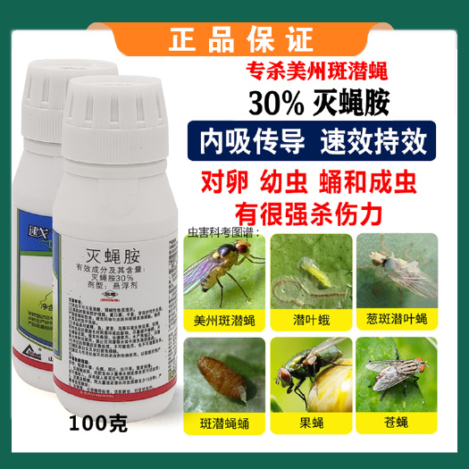 寿光市灭蝇胺斑潜蝇专用杀虫剂果树蔬菜花卉地图虫潜叶蝇美洲蝇农药批发