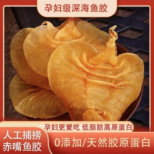 足干A货、顺风赤嘴、黑鳘赤嘴肚湛江赤嘴赤鱼胶台山赤嘴规格齐全