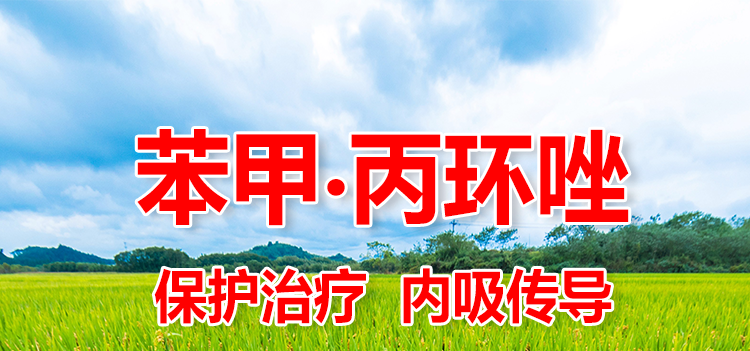 30%苯甲丙环唑果树小麦水稻纹枯病白粉病稲曲病叶斑病杀菌剂