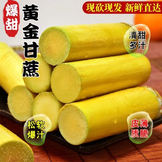 南宁黄皮甘蔗现砍黄皮甘蔗新鲜当季水果脆甜多汁非黑皮整箱包邮