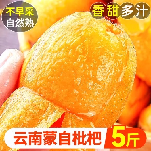 蒙自市云南蒙自枇杷新鲜水果包邮当季现摘农家枇杷孕妇甜琵琶大果