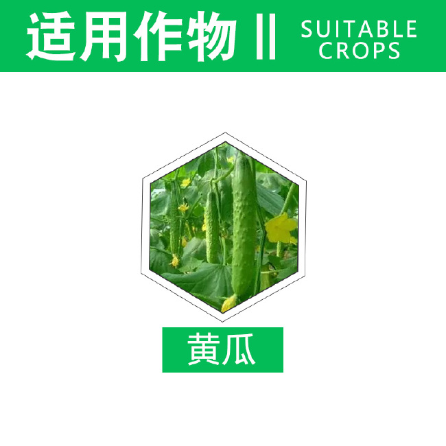 山东荣邦易扑瑞70%烯酰霜脲氰烯酰吗啉