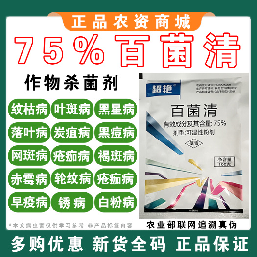 75%百菌清杀菌剂苹果落叶果树蔬菜花卉白粉炭疽病叶斑霜霉病