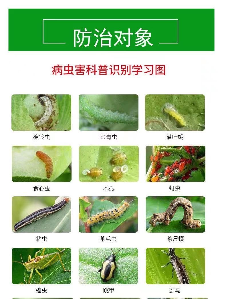 甲维盐氯氰菜青虫卷叶虫钻心虫棉铃虫菜蛾夜蛾果蔬农药杀虫杀卵