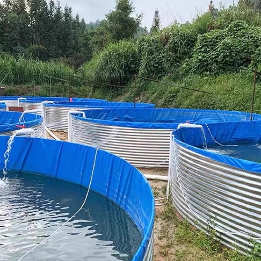 沭阳县养殖基地规划和预算，养殖技术指导。全程技术支持。提供水产养殖