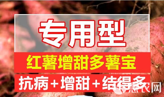 红薯增甜多薯宝红薯增甜剂膨大防裂薯多高产抗虫增甜增产红薯肥料