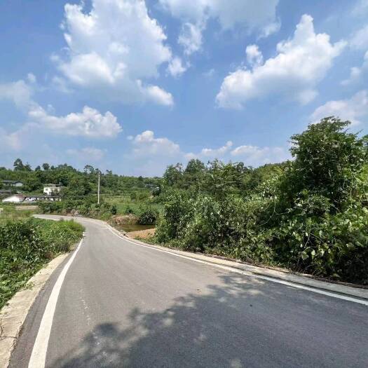 重庆市壁山区300亩土地出zu