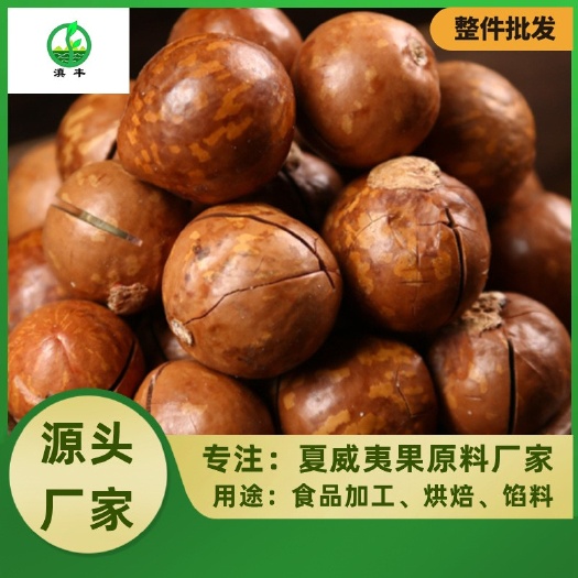 成都夏威夷果厂家直销原味大果中果仁白皮薄