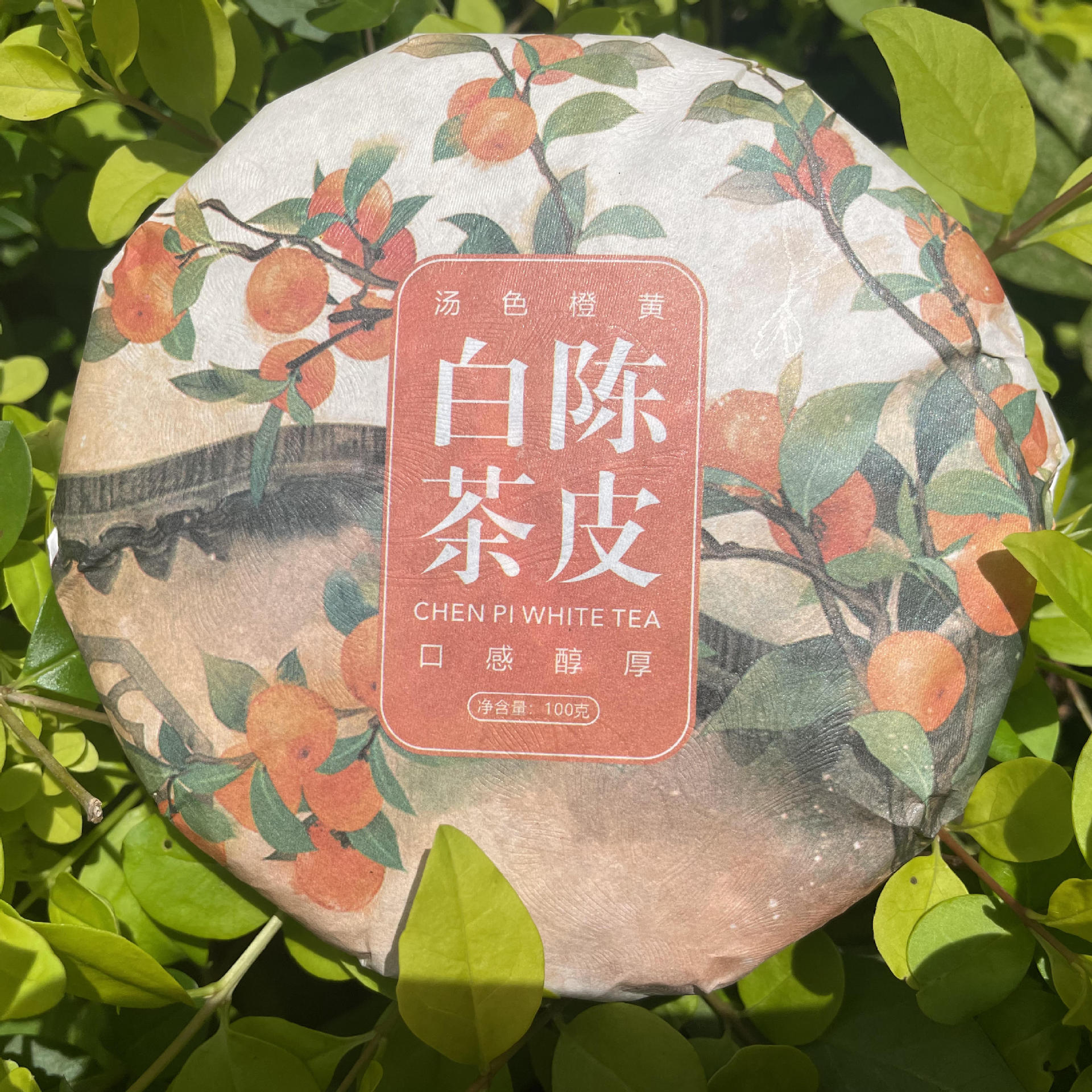 福建陈皮白茶饼批发2016年贡眉2018陈皮工艺白茶100g