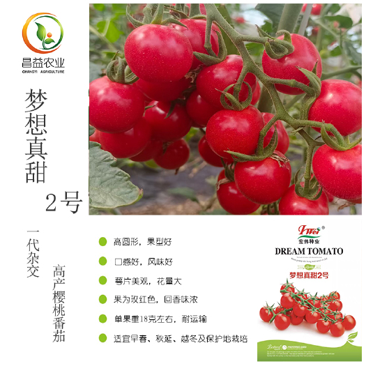 寿光市梦想真甜2号樱桃番茄种籽 红色耐寒口感好高糖抗病耐裂小番茄种