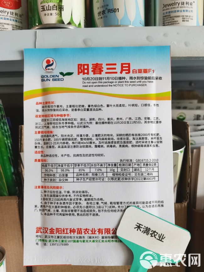 阳春三月白菜苔种子青菜苔种子越冬耐寒蔬菜种了籽四季蔬菜种孑