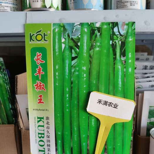 武汉久保田青线椒种子长丰椒王辣椒种子高产线椒种籽四季蔬菜种孑