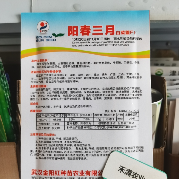 阳春三月白菜苔种子青菜苔种子越冬耐寒蔬菜种了籽四季蔬菜种孑