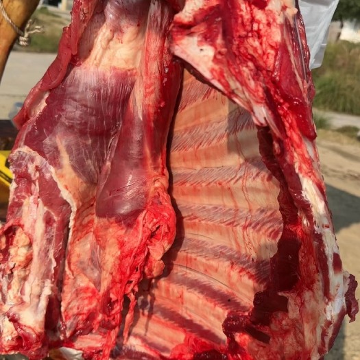 黎平县本地土黄牛肉