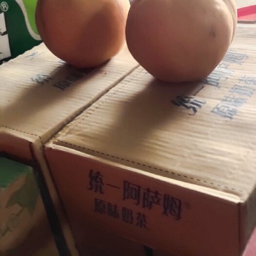 怀远县黄梨