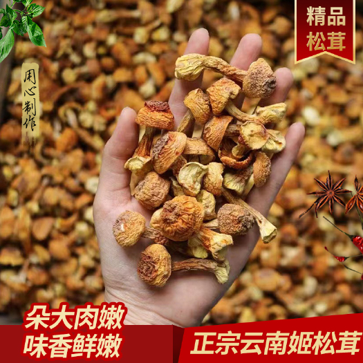 广州新货姬松茸干货特产精选非松茸菌巴西菇蘑菇菌菇