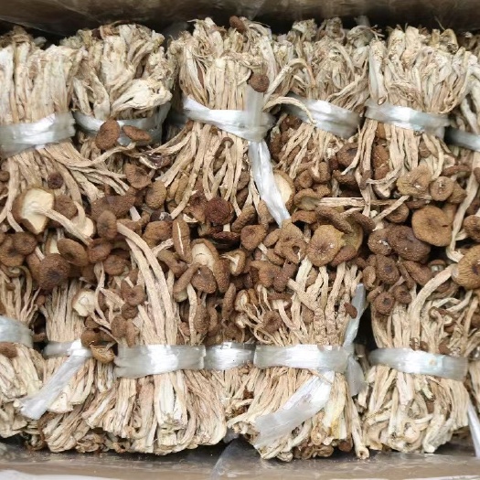 广州特产茶树菇干货散装商用炖汤材料