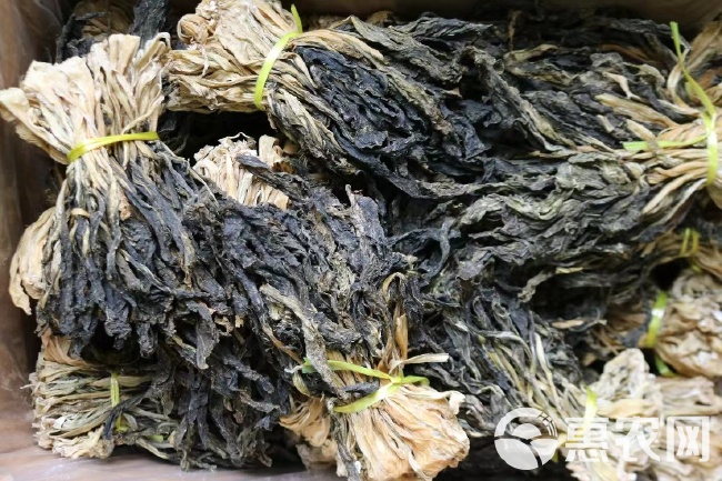 白菜干干货广东煲汤菜干白菜农家东北特产梅菜干梅干菜干板菜类级