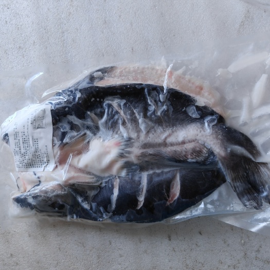 广州开背清江鱼，开背巴沙鱼