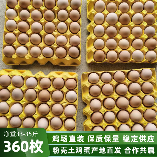 襄樊粉壳土鸡蛋360/箱 净重33-35斤农家蛋