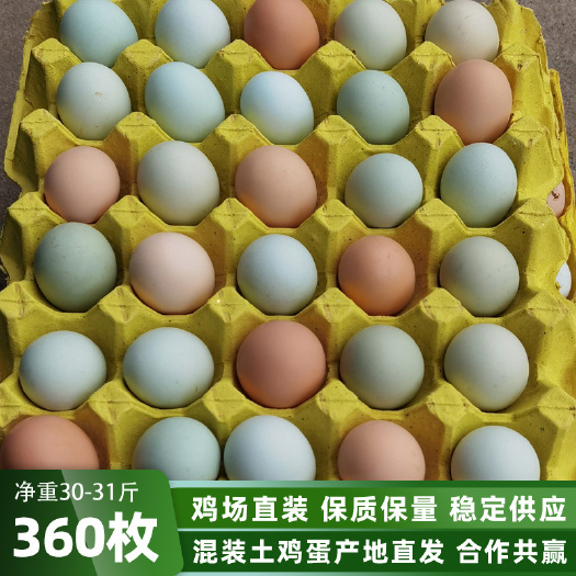 混装土鸡蛋360/箱 净重22-33斤农家蛋