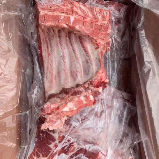 广州猪排骨  新鲜多肉猪小排排骨前排肋排仔排一箱20斤饭店食堂快