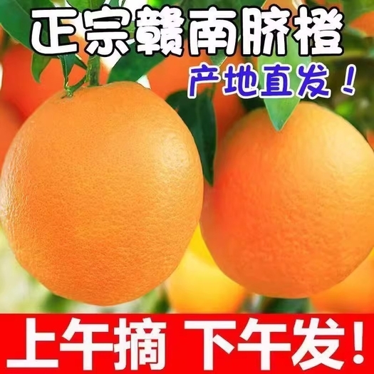 赣南脐橙江西橙子当季水果一件代发电商对接网红直播自有基地