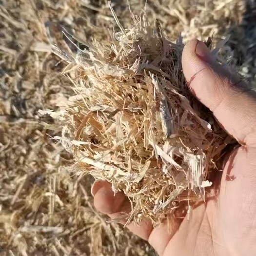 靖边县玉米草捆揉丝