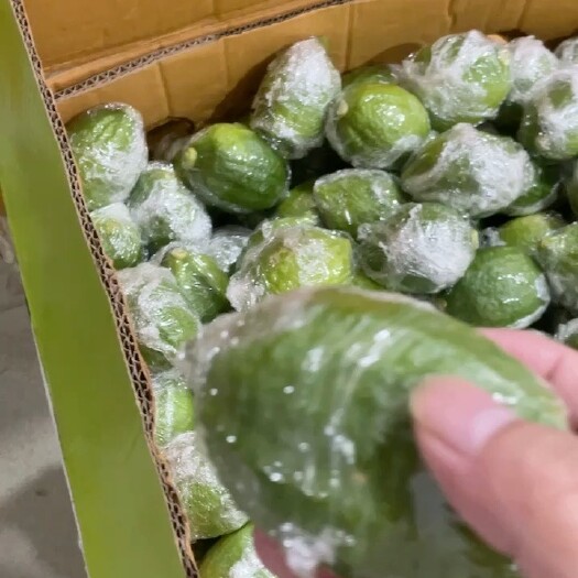 广州广东香水柠檬