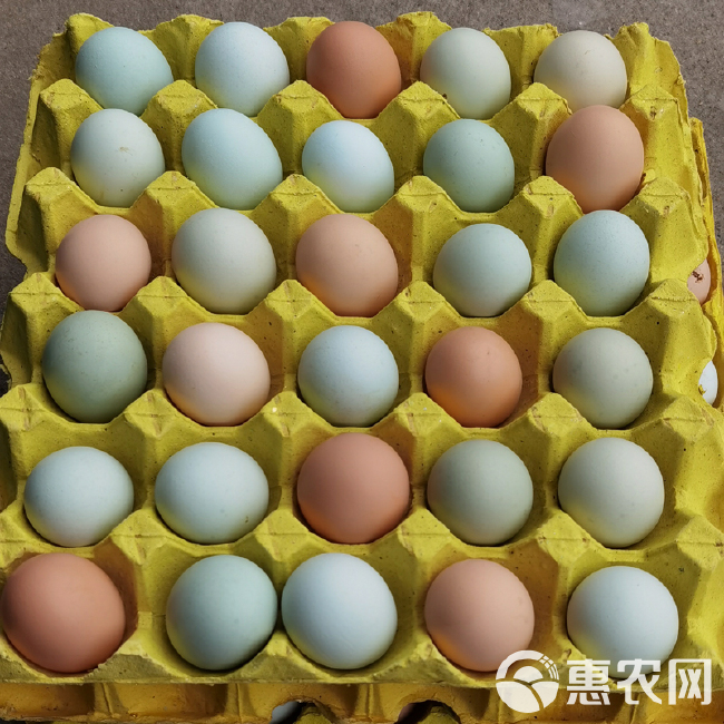 混装土鸡蛋360/箱 净重22-33斤农家蛋