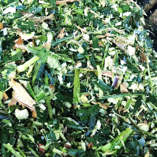 连州市广东青储  青储饲料  牛草料  玉米秸秆  青贮草料