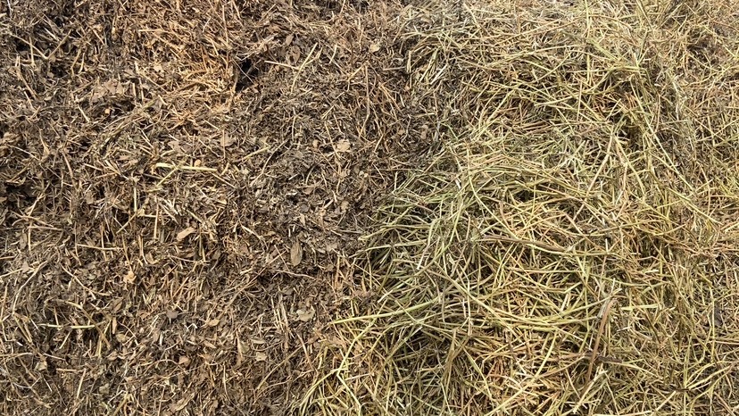 新野县牛羊草料，花生秧，小麦秸秆，玉米秸秆大量供应