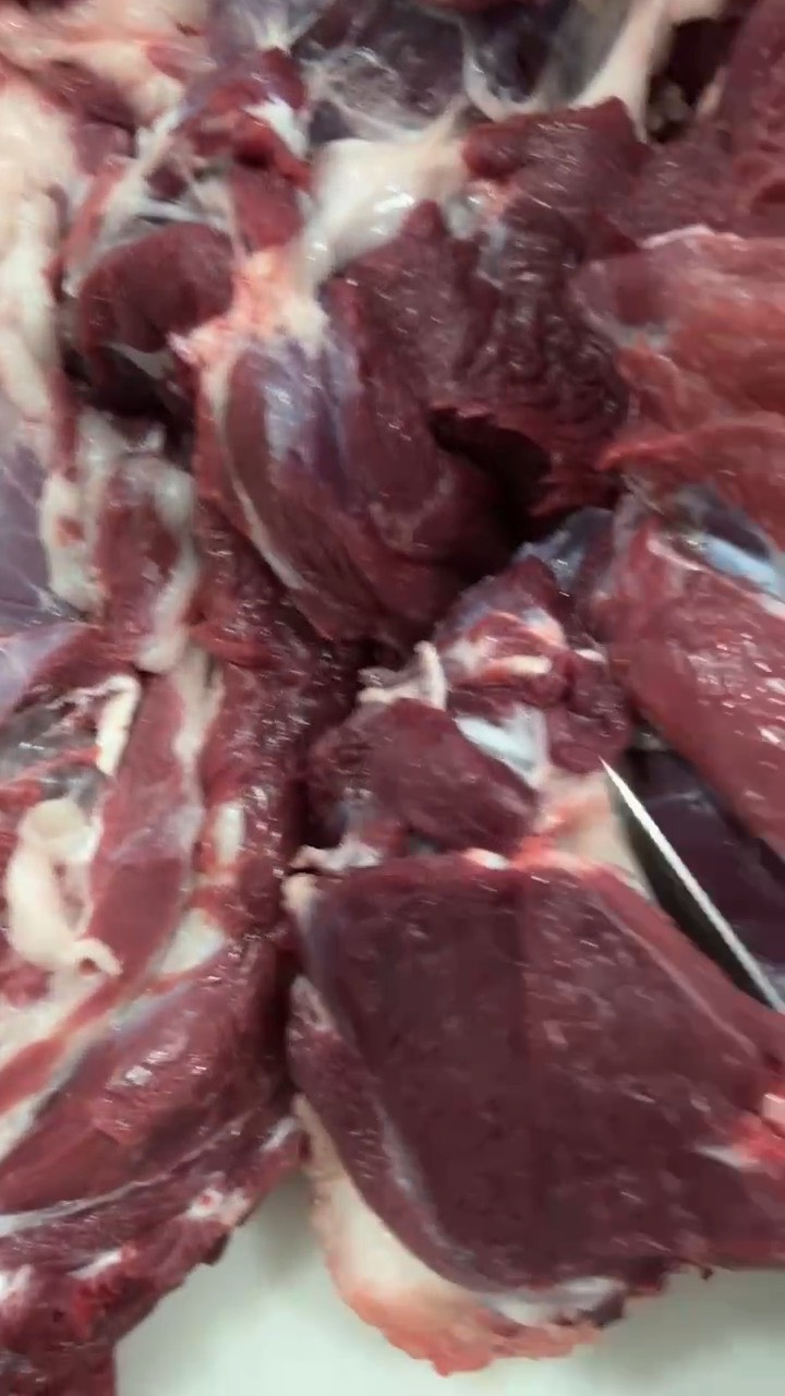 本地育肥羊肉卷 纯干货 5斤/卷 可用于火锅店 火锅食材